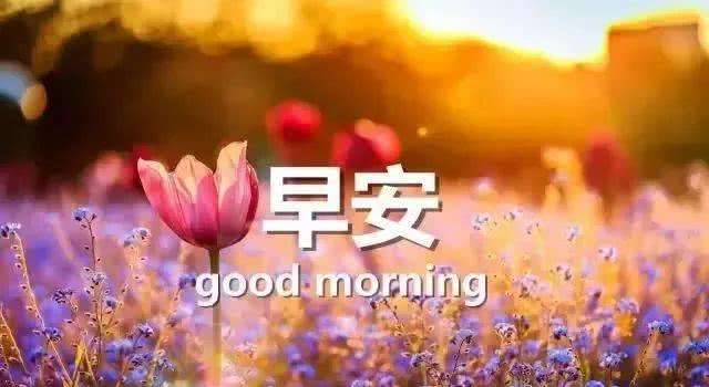 币圈大鹏：3.13比特币行情分析，仍没突破4000大关。
